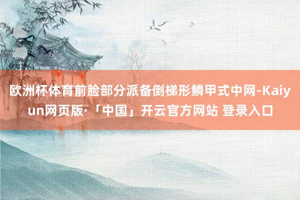 欧洲杯体育前脸部分派备倒梯形鳞甲式中网-Kaiyun网页版·「中国」开云官方网站 登录入口