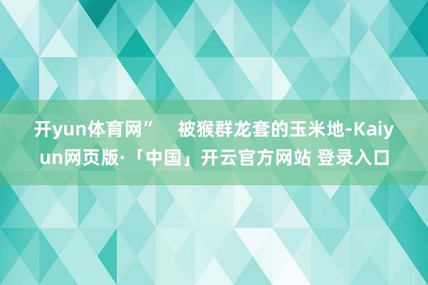 开yun体育网”    被猴群龙套的玉米地-Kaiyun网页版·「中国」开云官方网站 登录入口