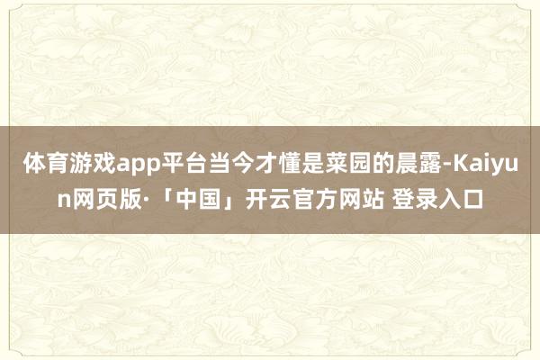 体育游戏app平台当今才懂是菜园的晨露-Kaiyun网页版·「中国」开云官方网站 登录入口