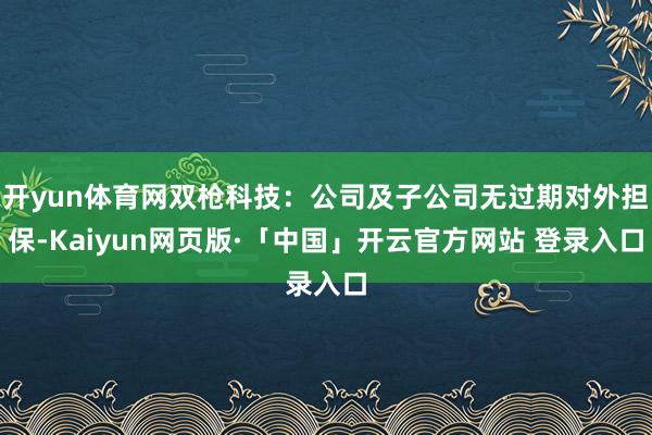 开yun体育网双枪科技：公司及子公司无过期对外担保-Kaiyun网页版·「中国」开云官方网站 登录入口