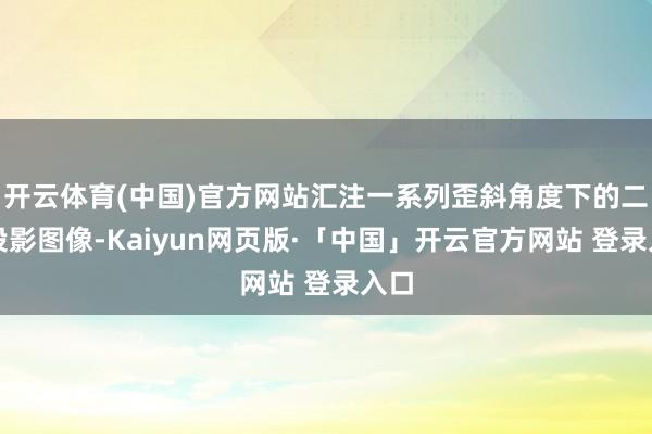开云体育(中国)官方网站汇注一系列歪斜角度下的二维投影图像-Kaiyun网页版·「中国」开云官方网站 登录入口