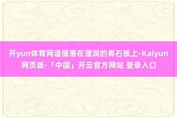 开yun体育网适值落在湿润的青石板上-Kaiyun网页版·「中国」开云官方网站 登录入口