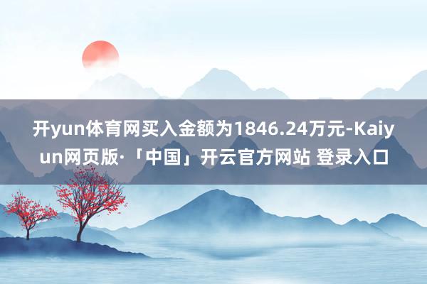 开yun体育网买入金额为1846.24万元-Kaiyun网页版·「中国」开云官方网站 登录入口