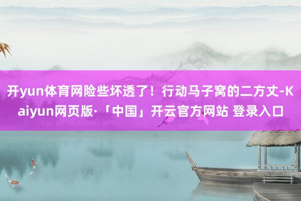开yun体育网险些坏透了！行动马子窝的二方丈-Kaiyun网页版·「中国」开云官方网站 登录入口